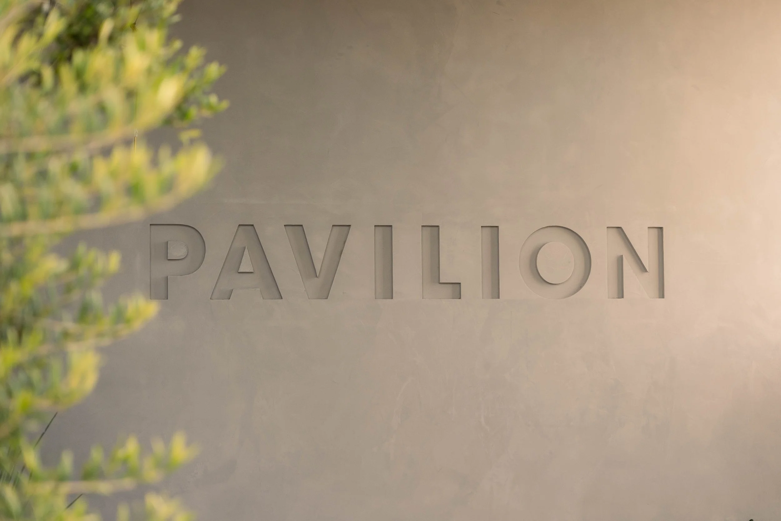 rooftop grand opening