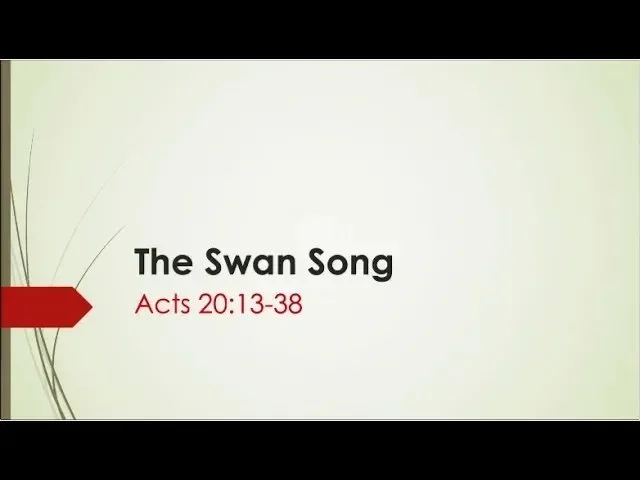 The Swan Song - Rev David Ho