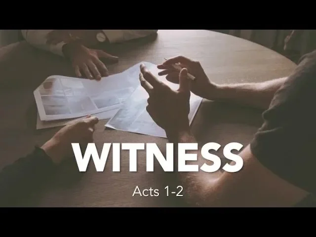 Witness - Rev Dr Lynette Sathiasingam