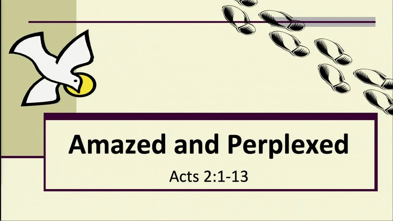 Amazed and Perplexed – Rev David Ho