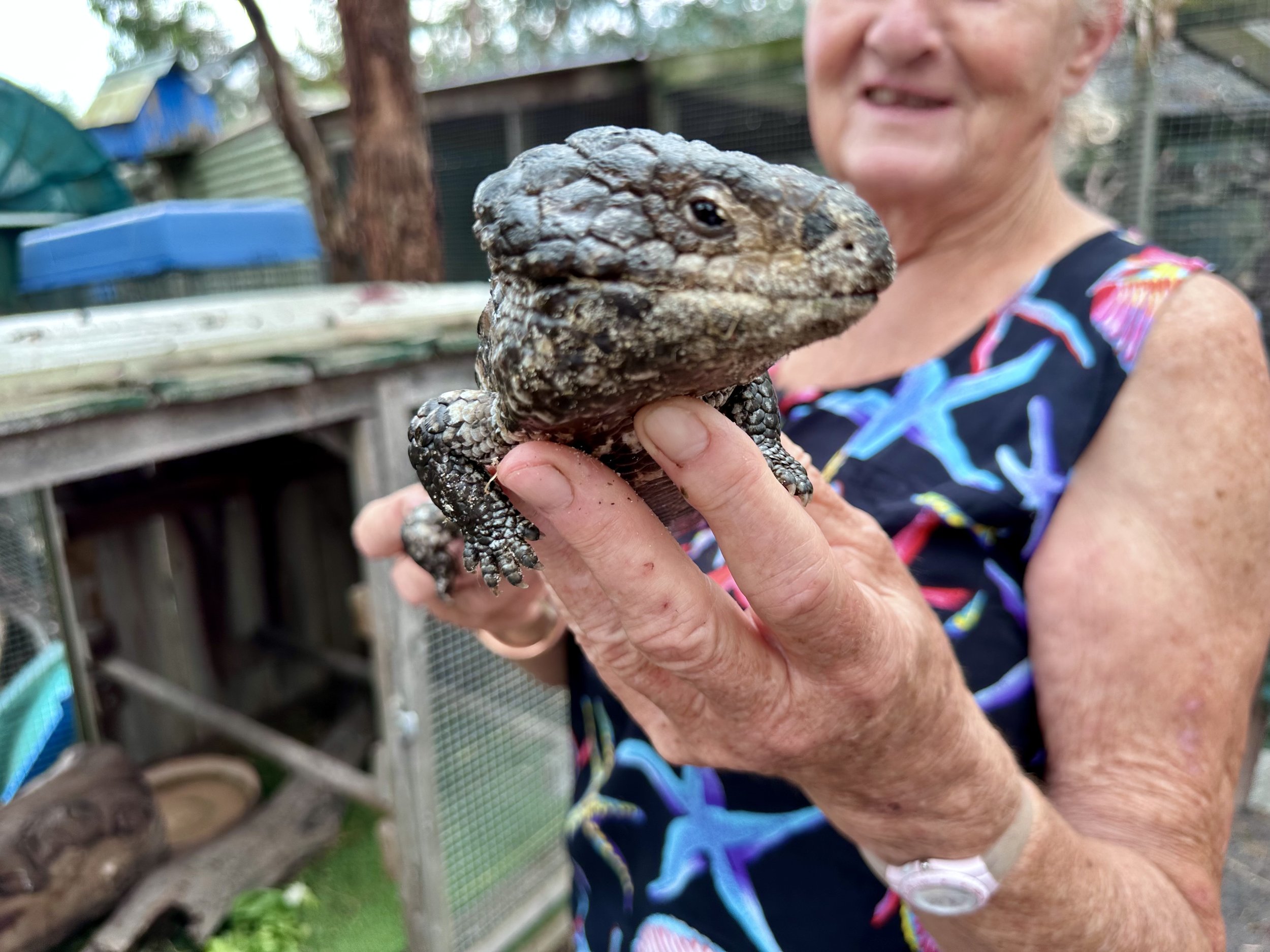 Jennie and reptile.jpg