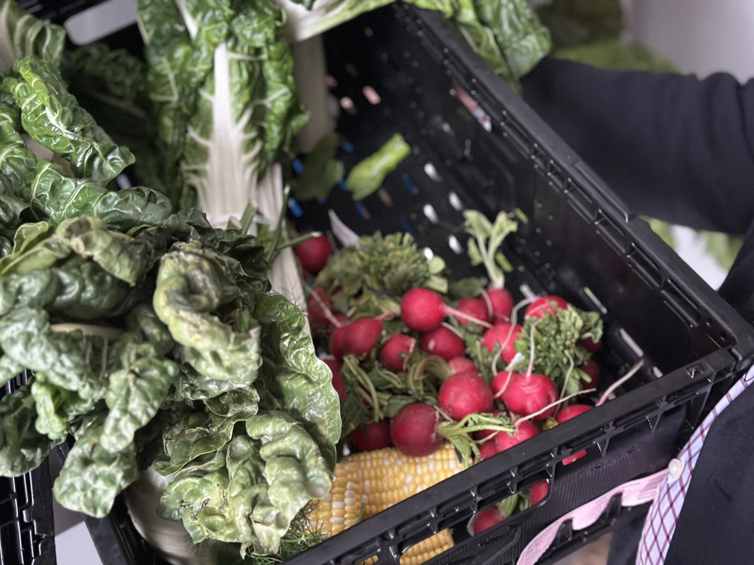 Winery fresh produce.jpg