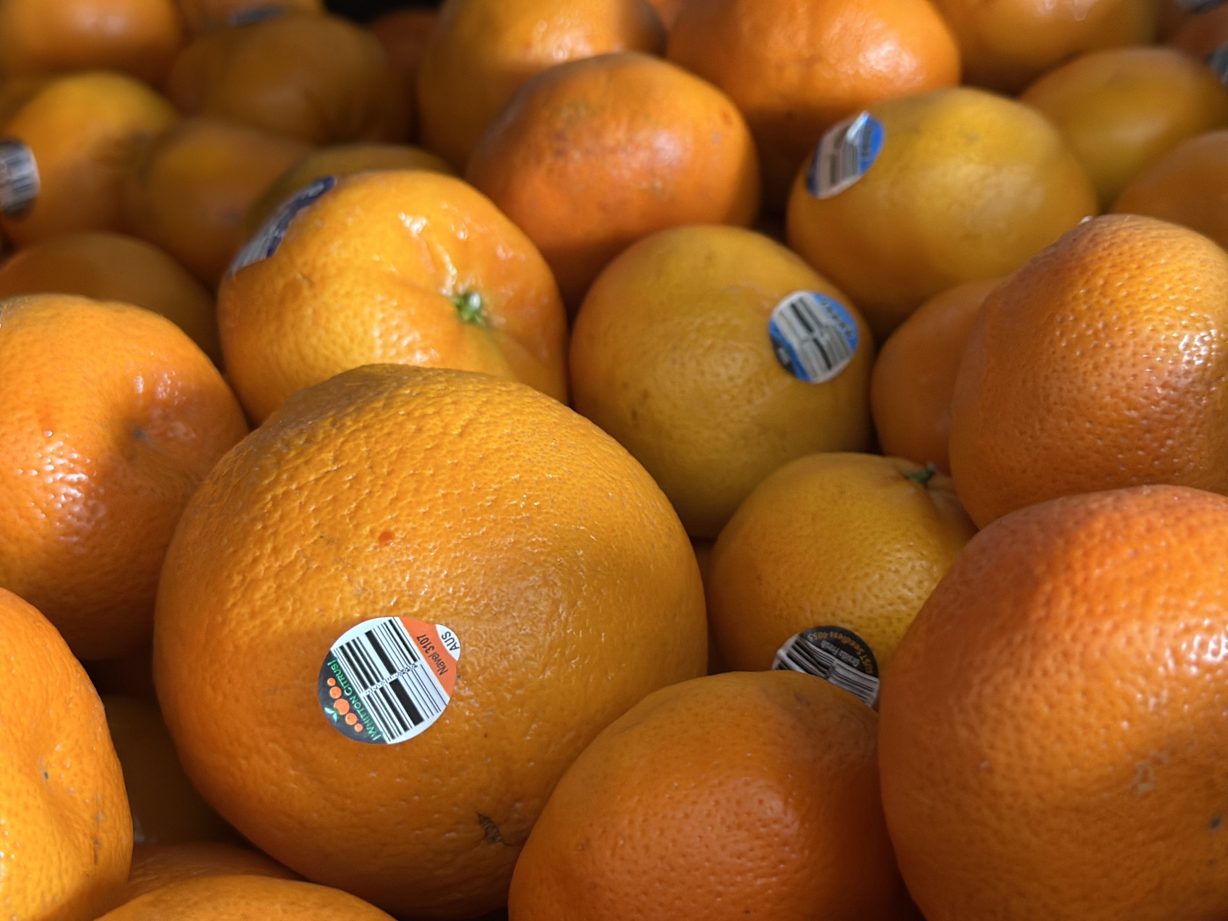 SPCS donated oranges.jpg