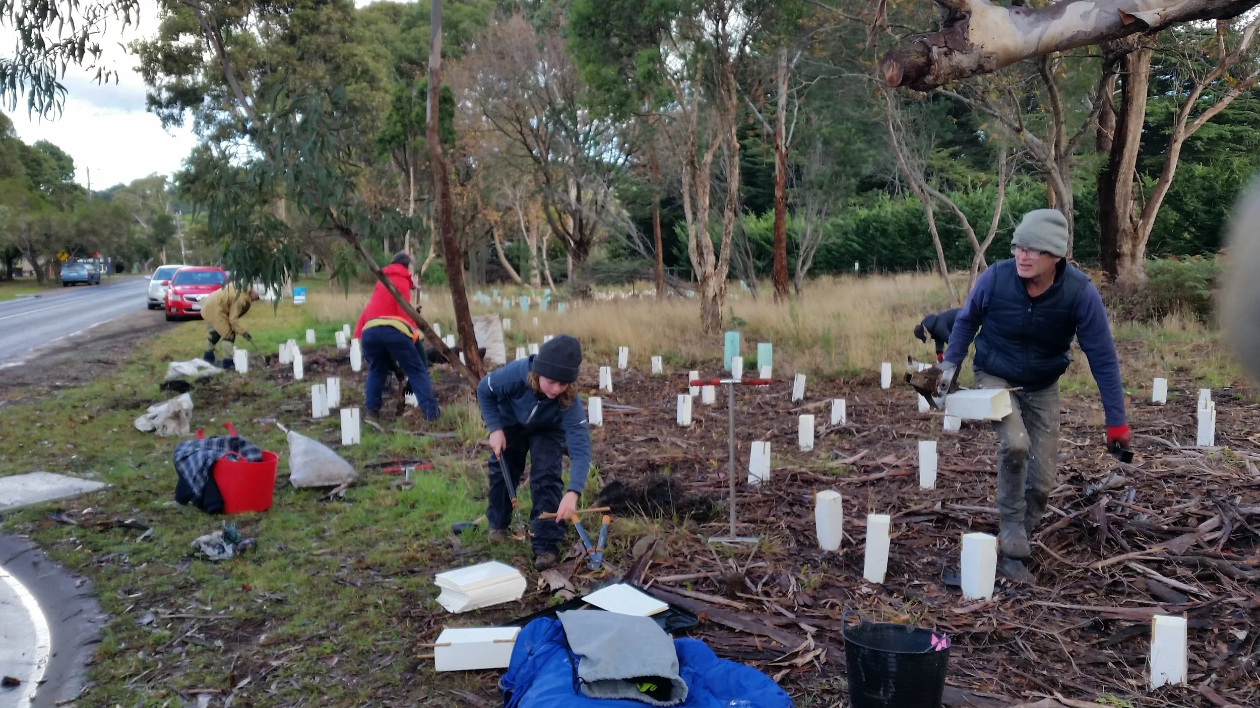 Bushland friends create a home for native wildlife&nbsp;