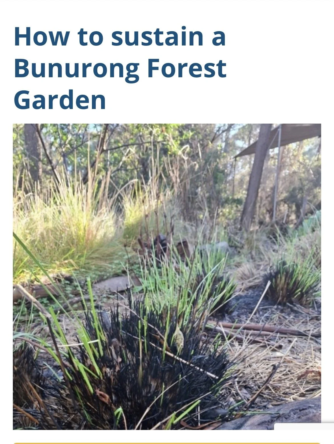 Bunarong Forest Garden