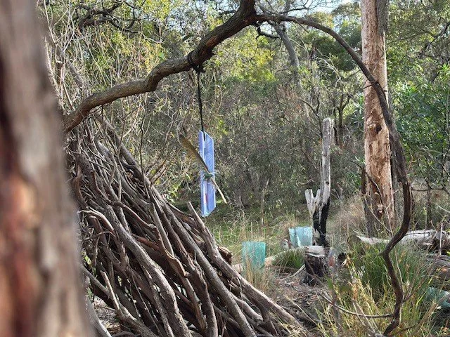 Bunurong Forest Gardening Workshop