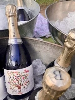 kate legge ballieu sparkling.jpg