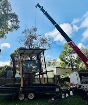 noticeboard on Crane.png
