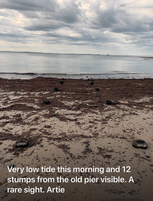 Historical Pier stumps 