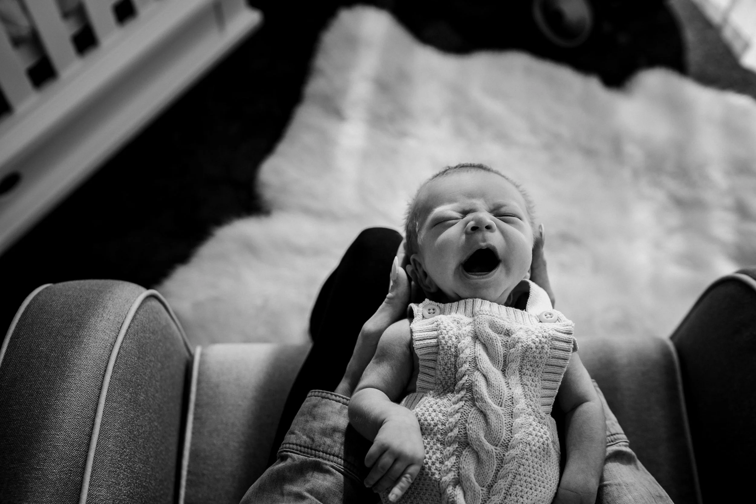 Welcome Otto jawning-2.jpg