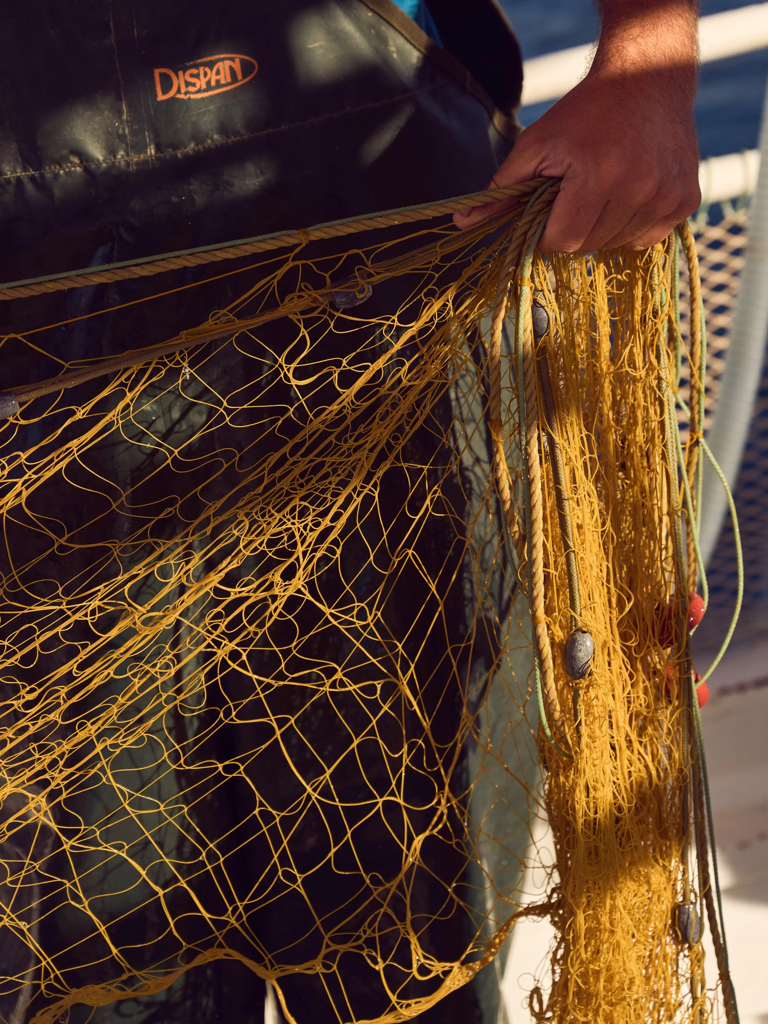 260615_Kardamyli-Fishing_0678.jpg