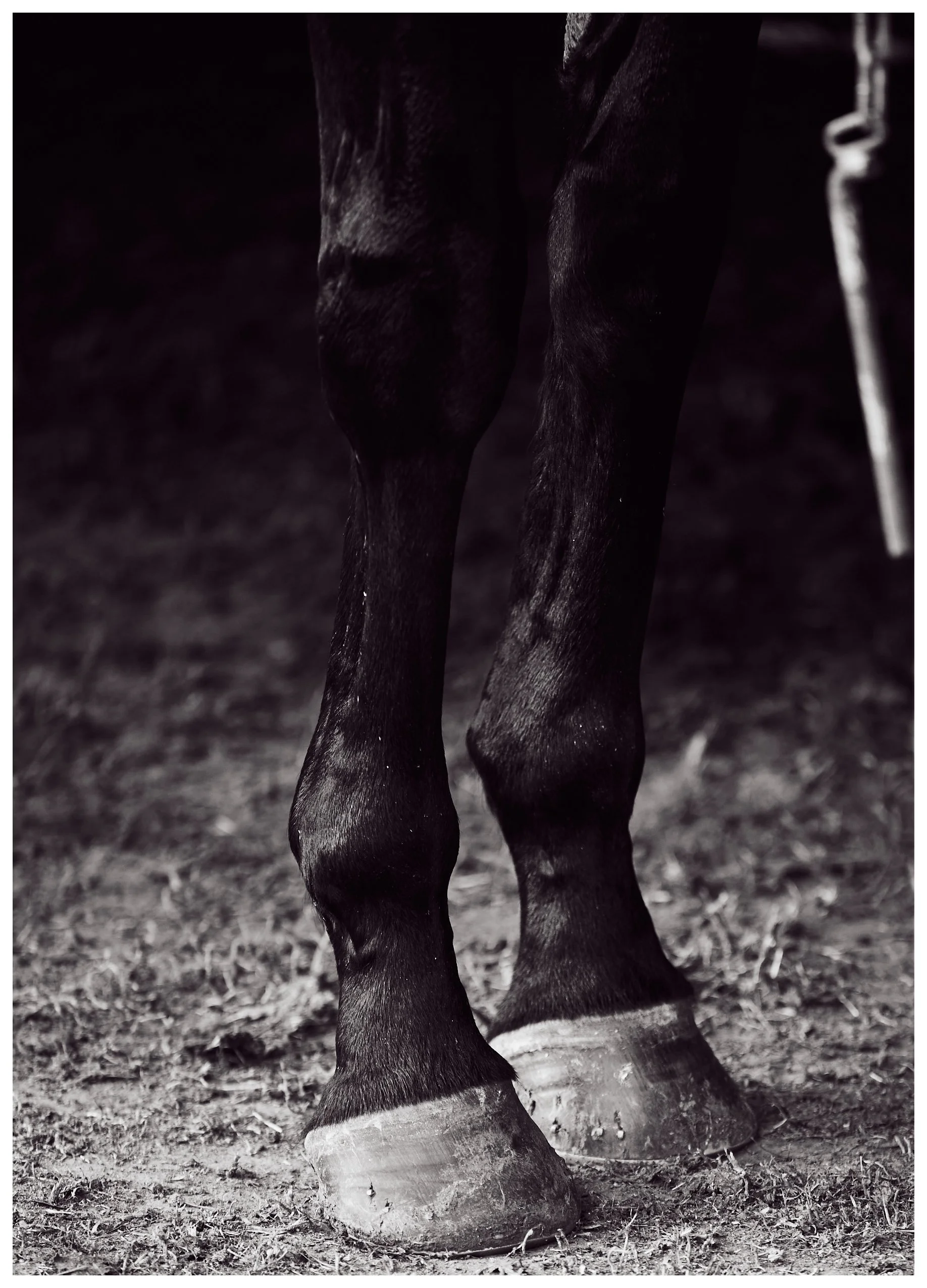 240810_Louth_1108 1+Joe+Kennedy+Sydney+Photographer.jpg