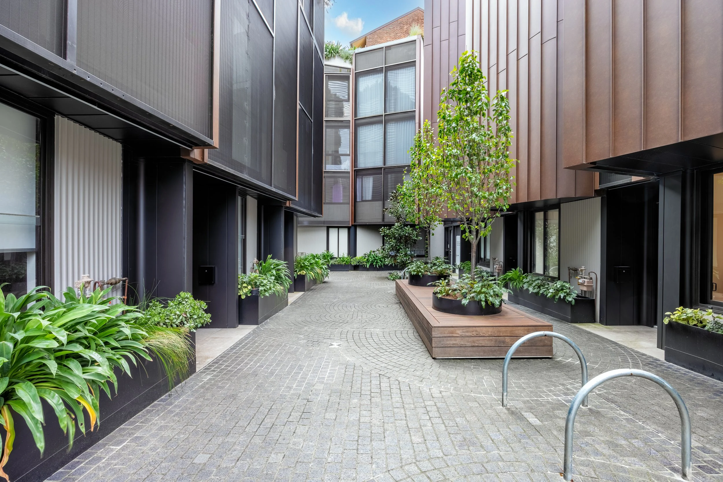 6-56_Mount_St_Pyrmont_023.JPG