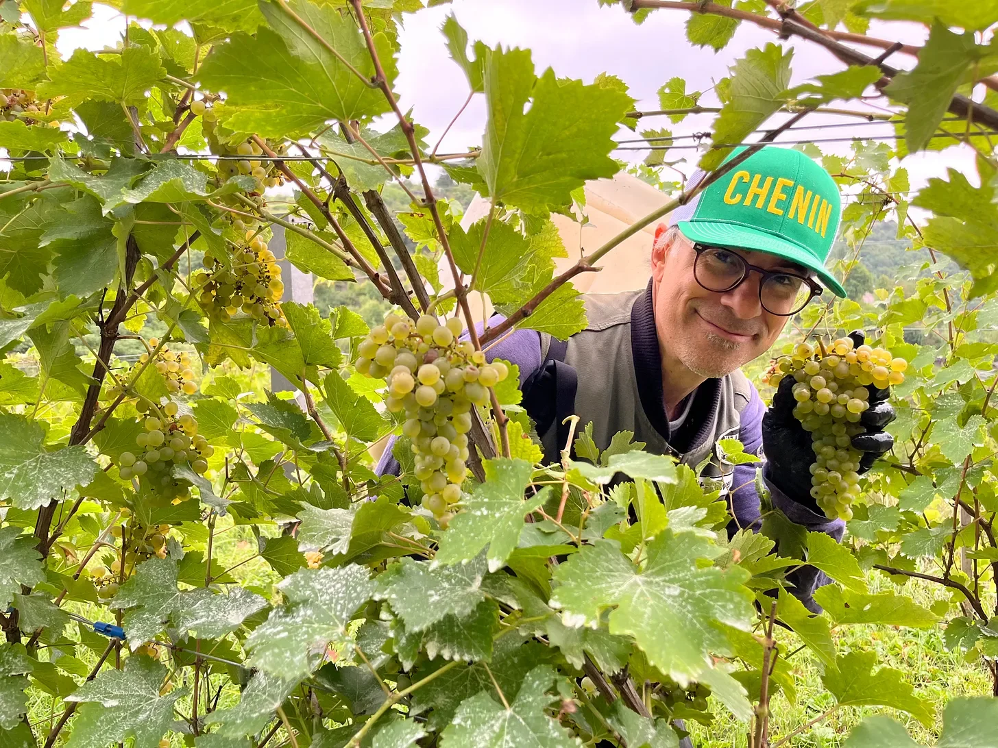 That’s a Wrap: Harvest 2025 from Kremstal