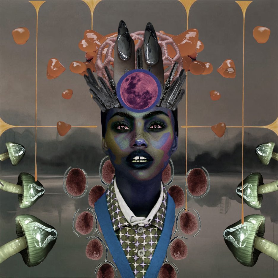 mattidwan digital collage – Amanita, Alchimiste