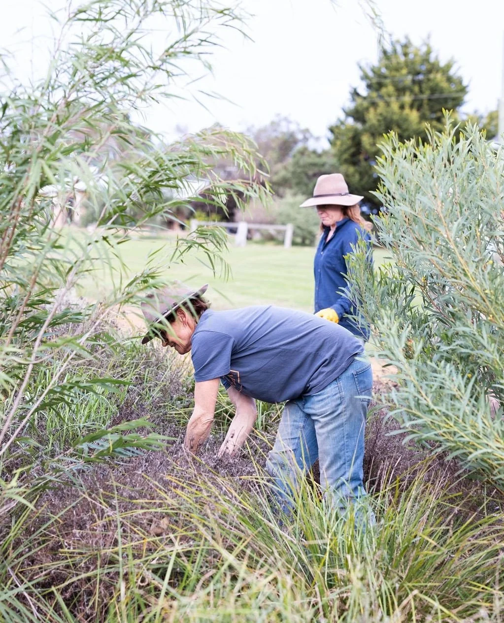 Winter is when the work shifts &ndash; quieter days, slower rhythms, and time to care for the land.⁠
⁠
There&rsquo;s always something happening behind the scenes to keep NewFarm thriving.⁠
⁠
We&rsquo;re using this time to reflect, repair, and dream u