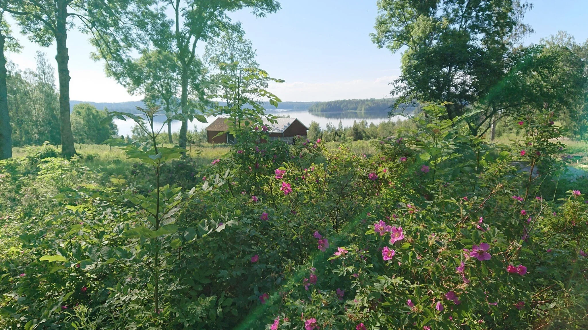 Body Love Tantra Retreat