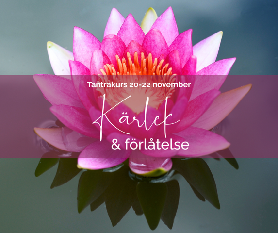 Tantrakurs Kärlek &amp; förlåtelse, Hjärtchakrat