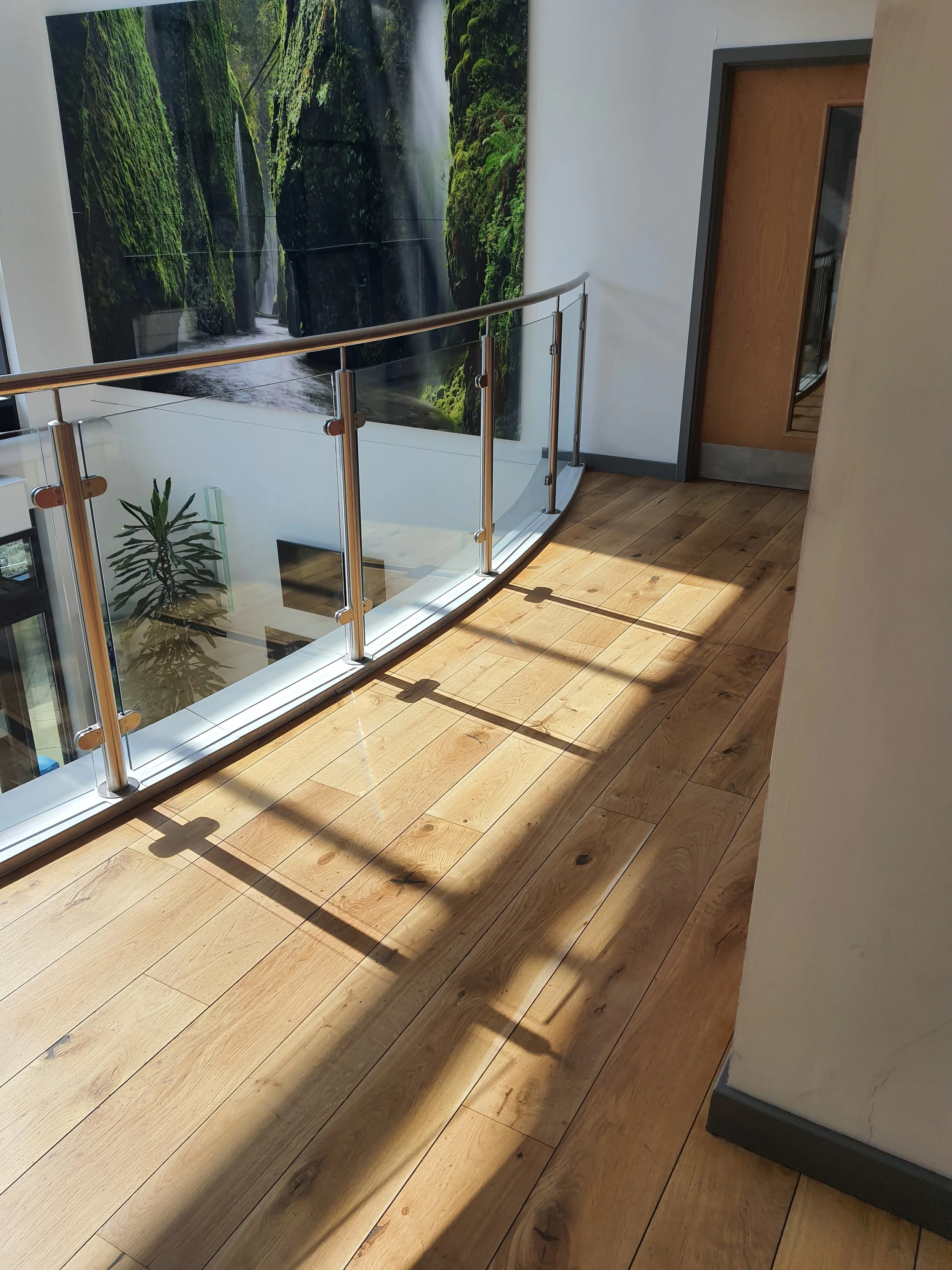 A commercial corridor freshly sealed