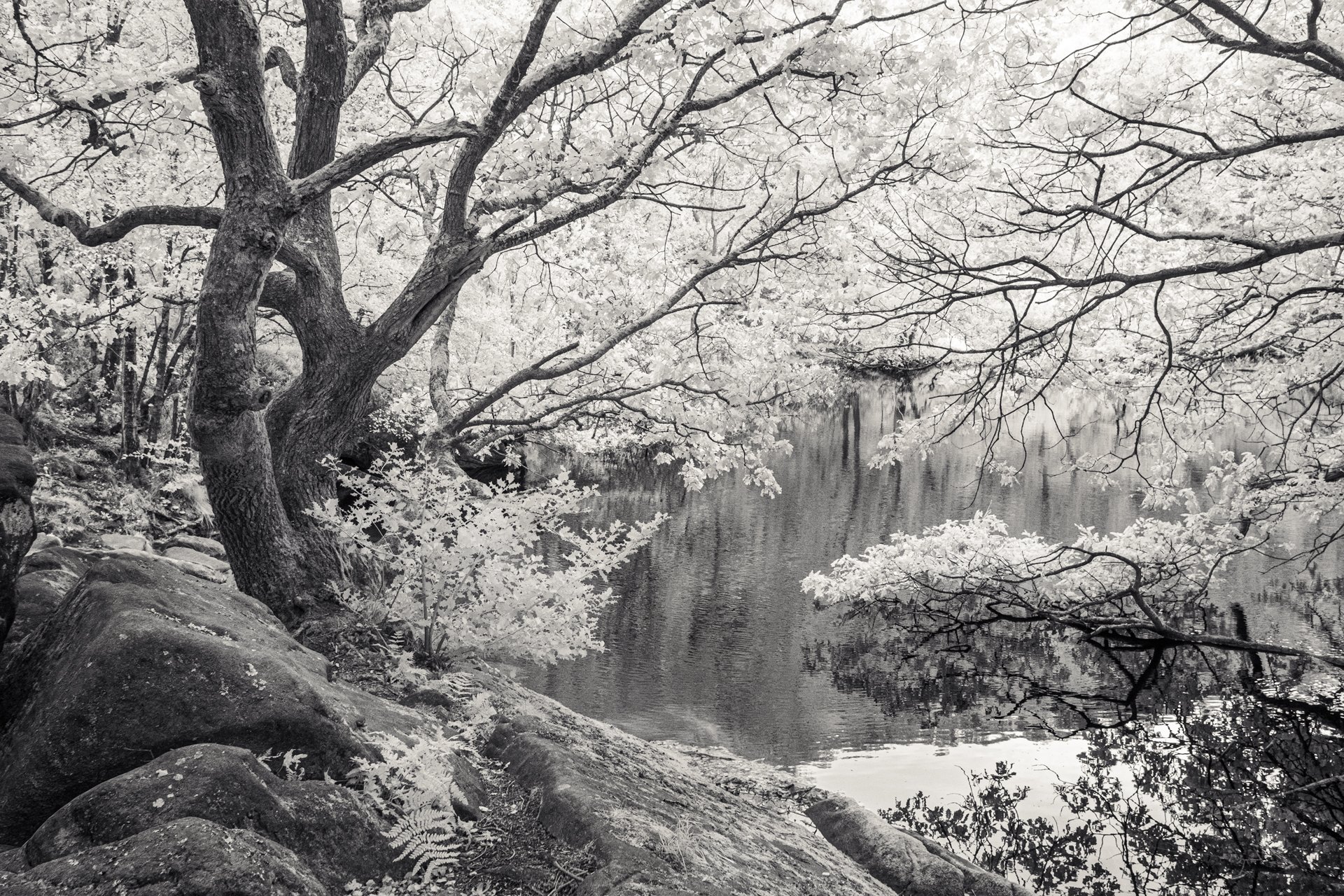 Guisecliff Tarn Yorkshire 