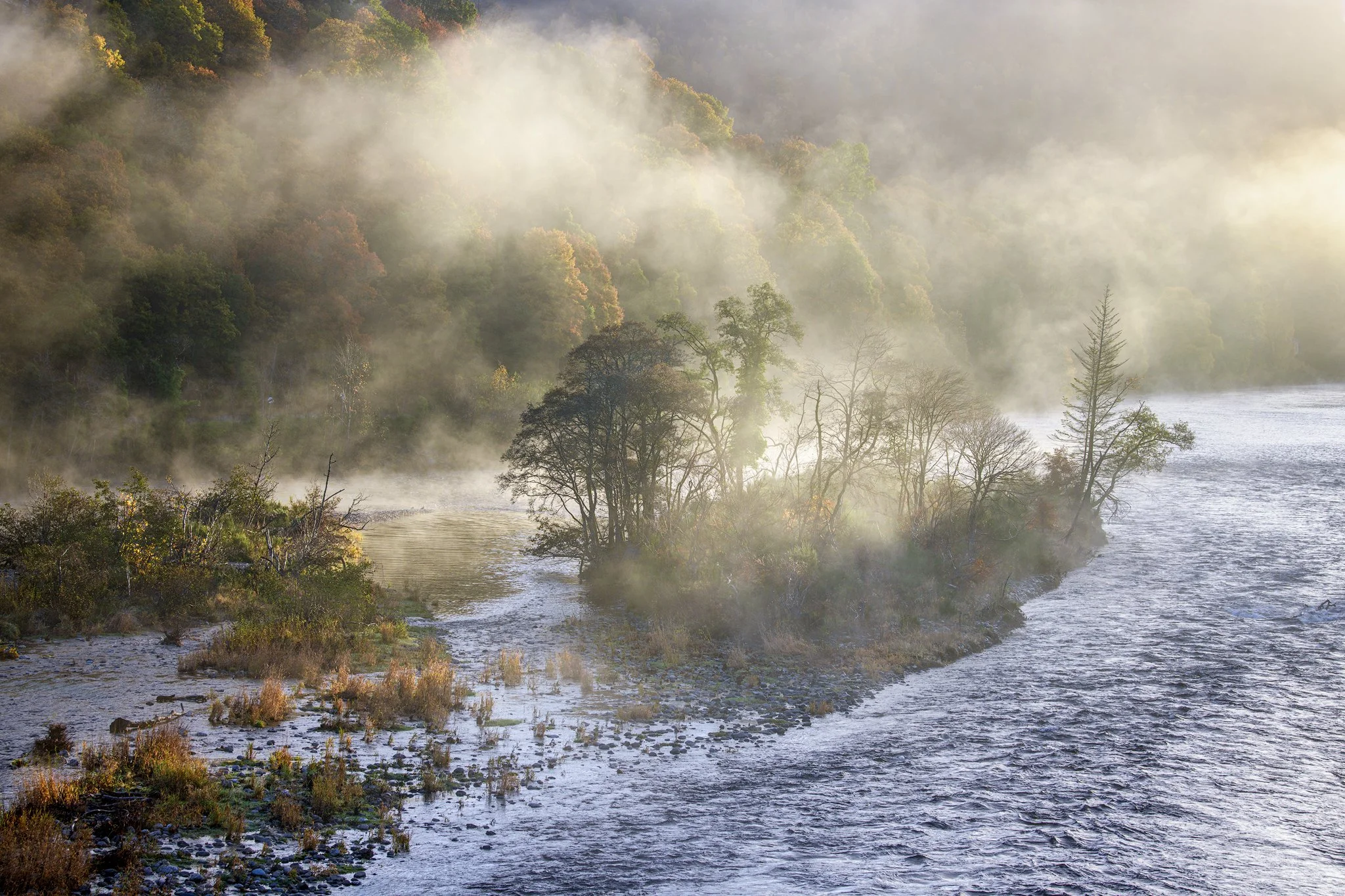 Autumn Mist Dunkeld Scotland 