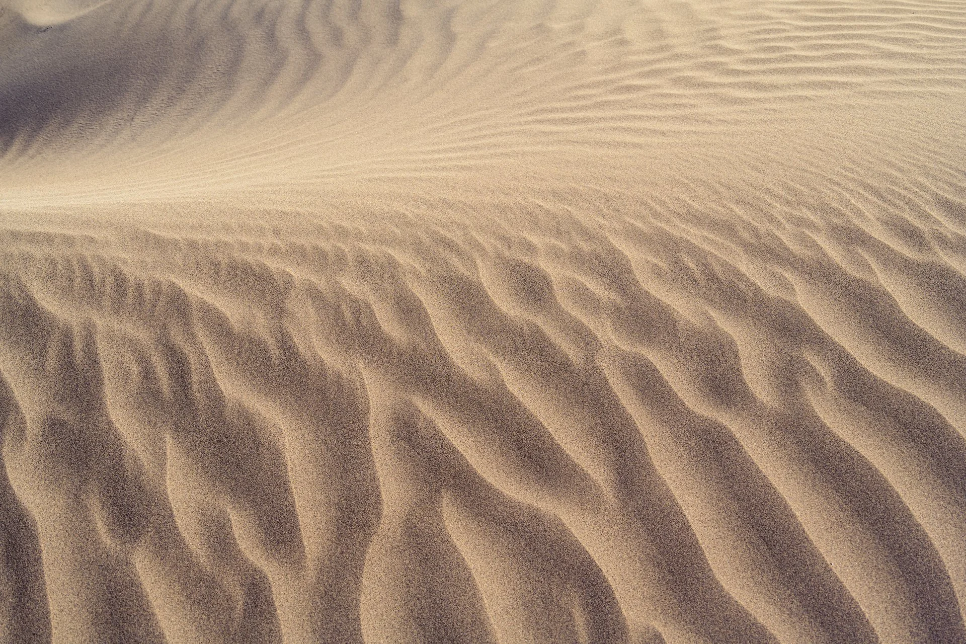 Famara Dunes Lanzarote 