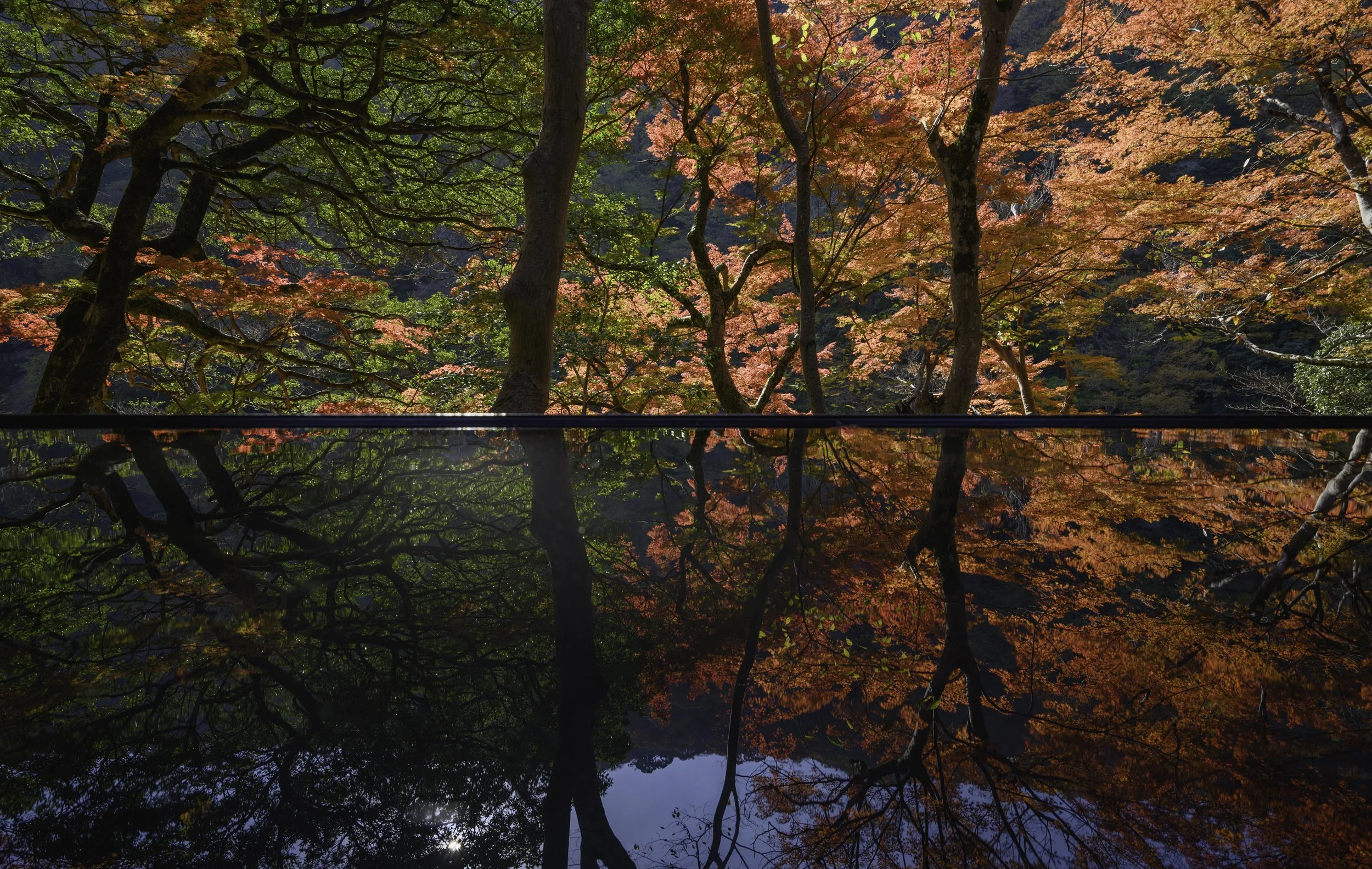 Kyoto garden Japan 