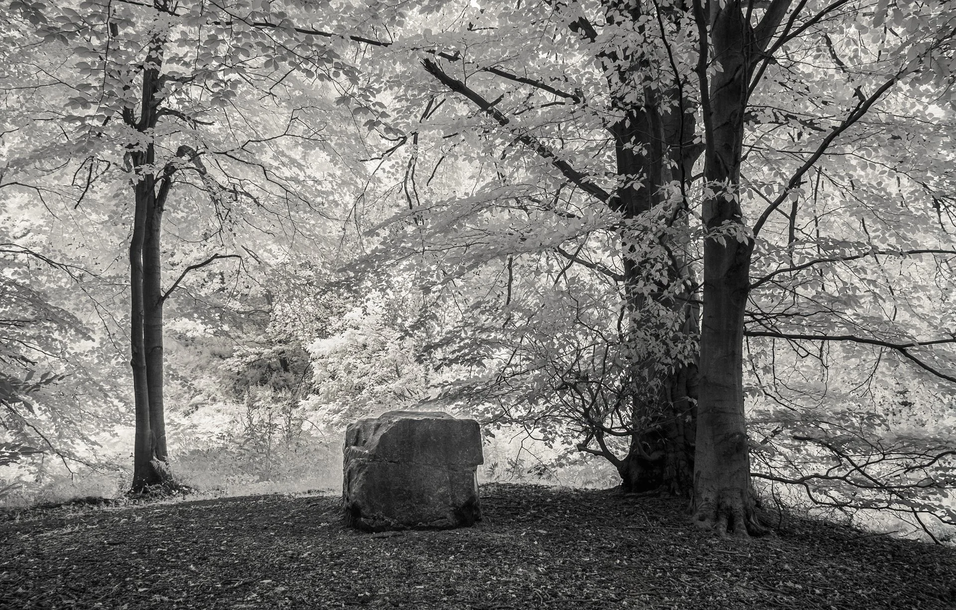 Nutwith stone - Masham North Yorkshire 