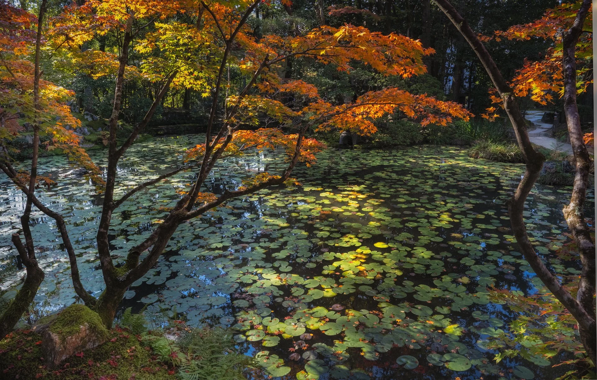Kyoto Garden Japan