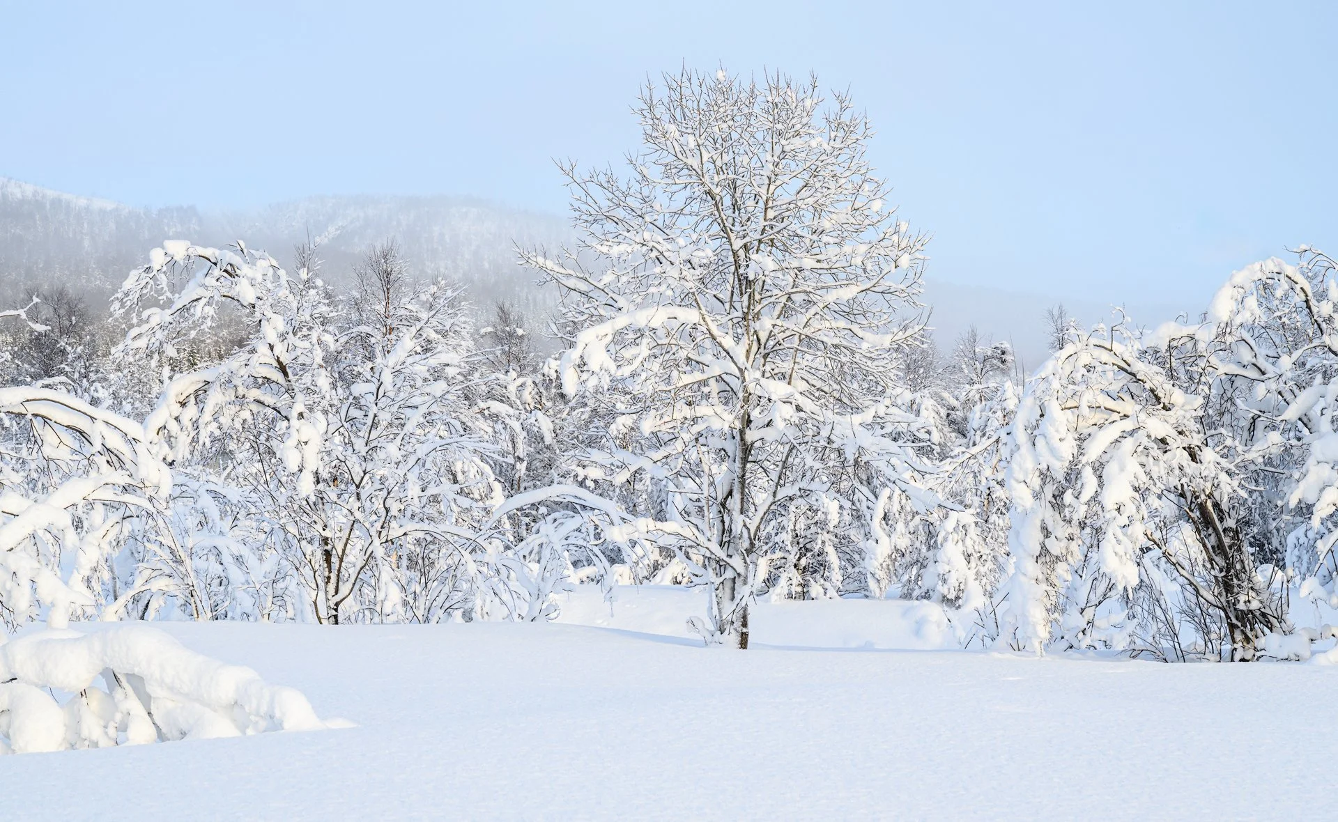 Senja at minus 21 Norway 