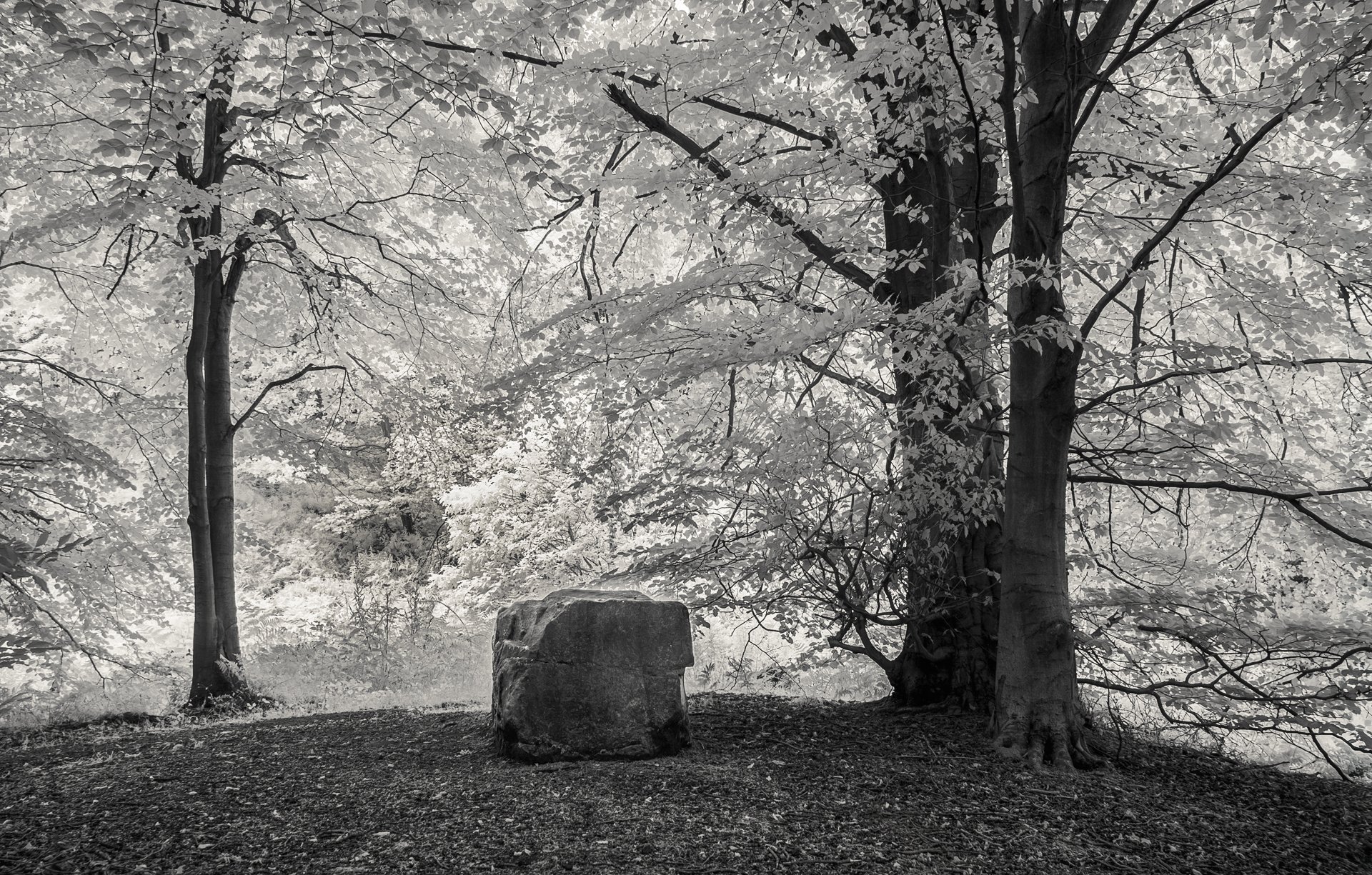 Nutwith stone Masham Yorkshire 