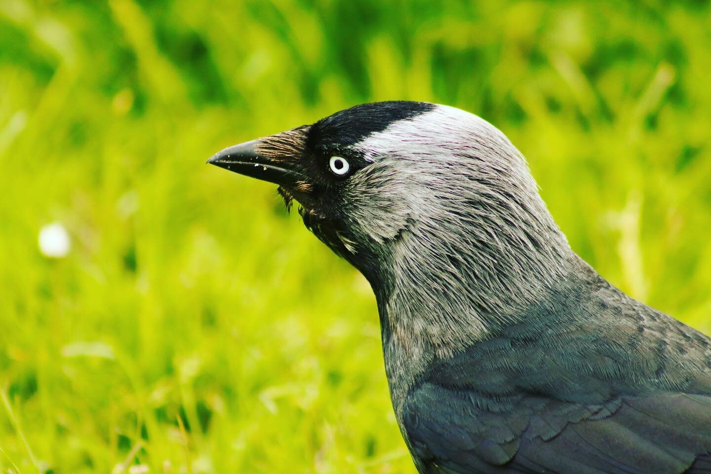 Oi! What you looking at!!!