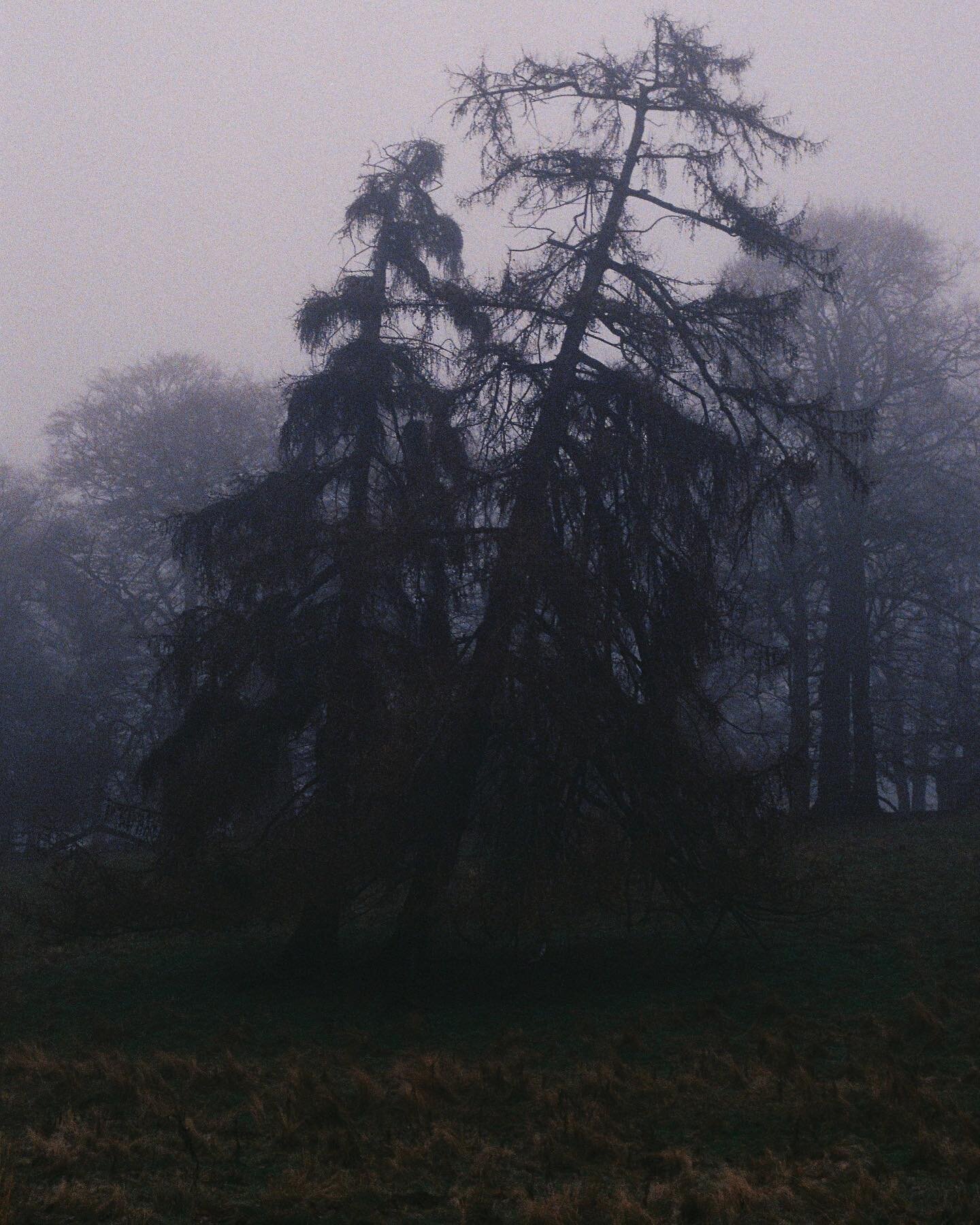 I&rsquo;ve finally got round to sending the last. 6 months worth of film off to @analoguewonderland. Really digging these moody atmospheric shots! 

#analogphotography #analogwonderland #35mm #35mmfilm #35mmfilmphotography #kodac #kodac35mm #nikonpho