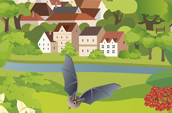 Infografik / Stiftung NaturSchutzFonds