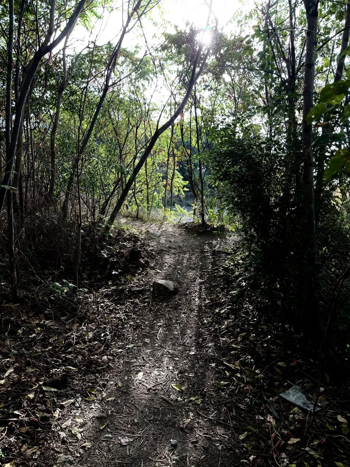 Some people don’t get to walk on a well laid path
Some people are forced to force their way through
Some people have to live in life’s ugly wrath
Some people have to fight harder than they ever should.
Some of us don’t have the o