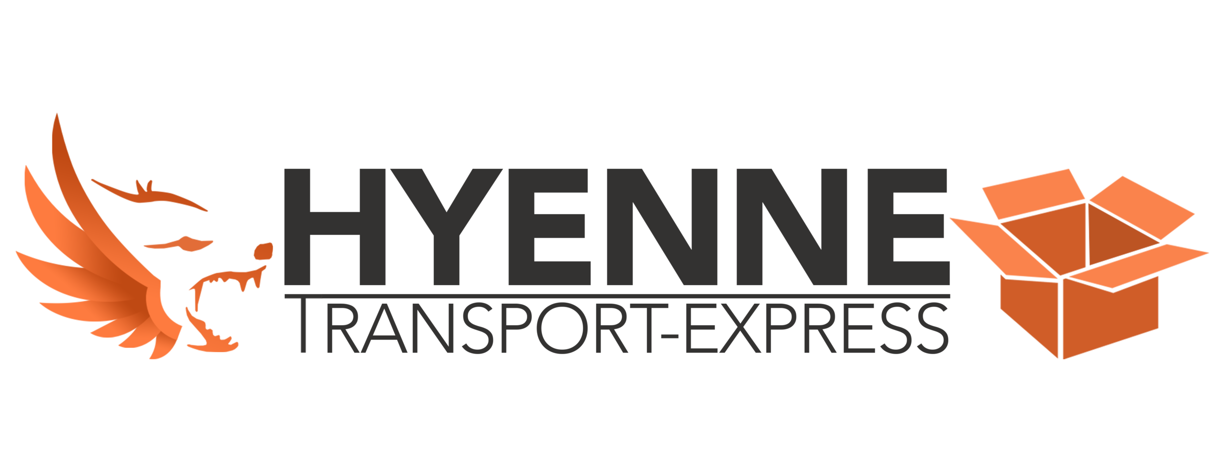 Accueil Hyenne Transport Accueil Hyenne Transport