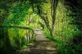 Rivelin Circular