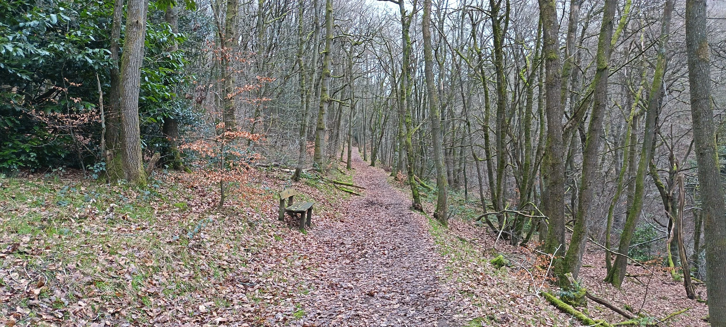 Two Dales & Hall Dale