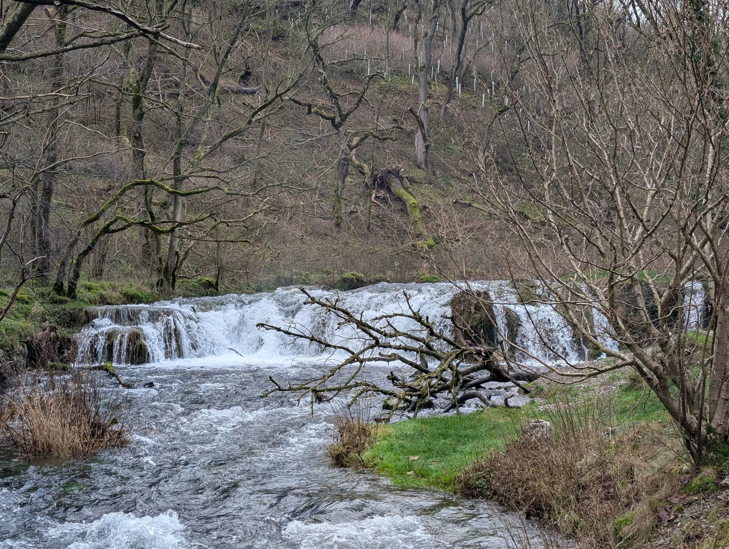 Rivers Lathkill, Bradford and Wye