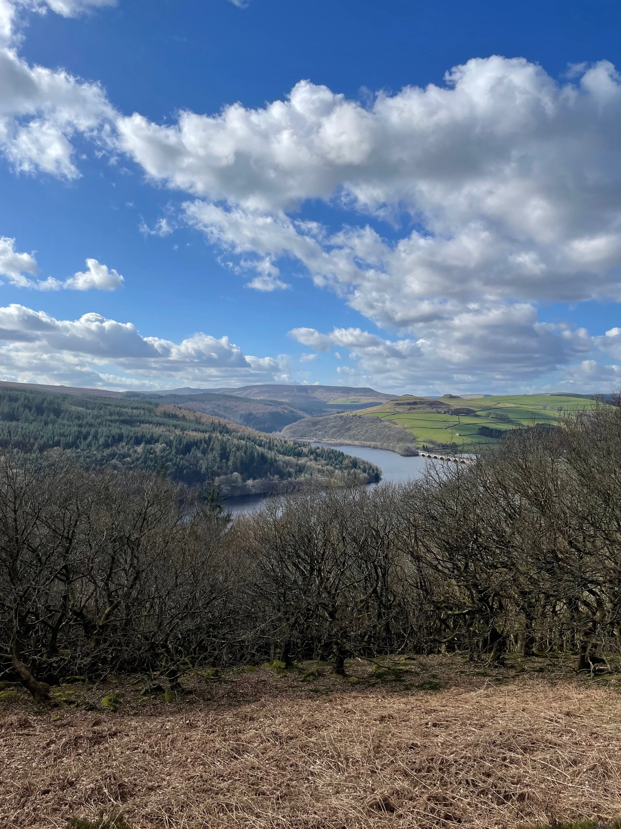 Bamford Station to Bamford Edge and Back