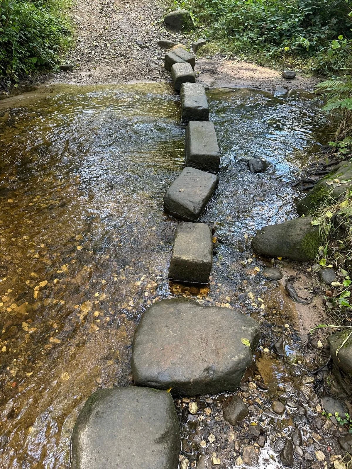 Five Old Halls Around Totley