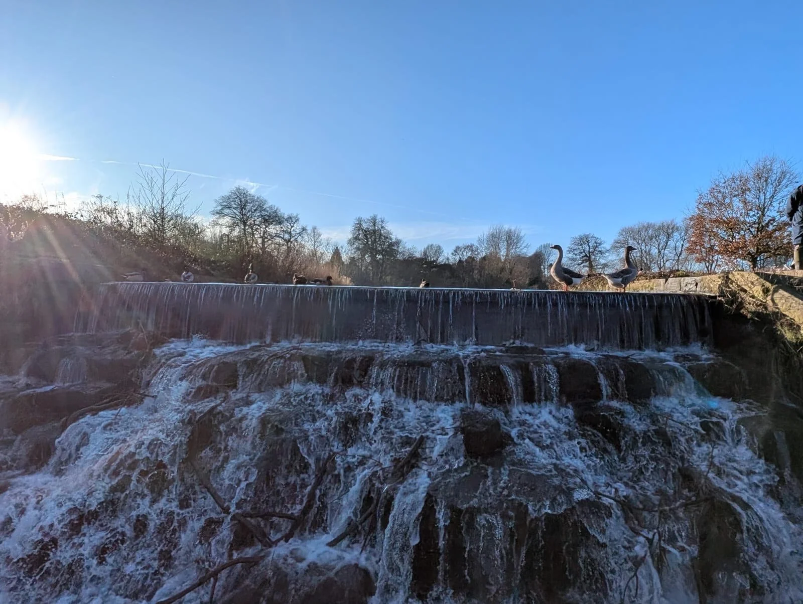 A walk to Cannon Hall