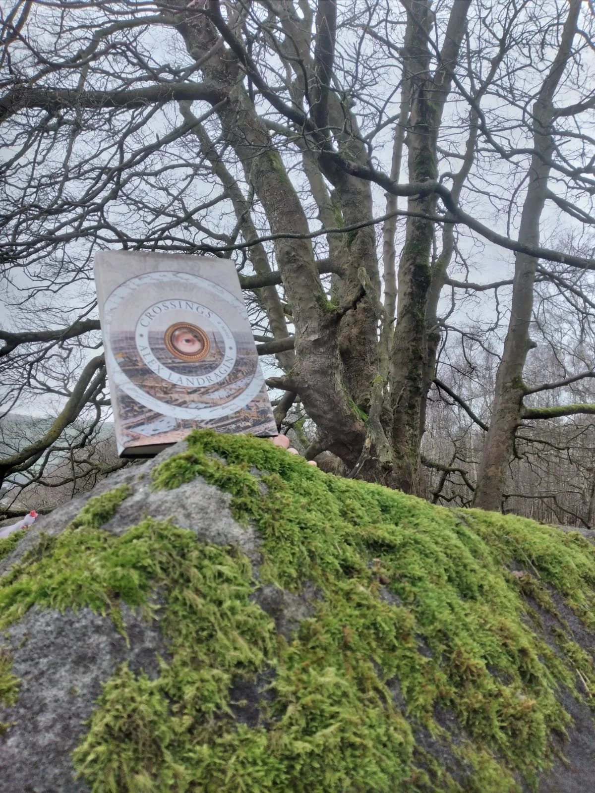 Book Club #14 Crossings by Alex Landragin