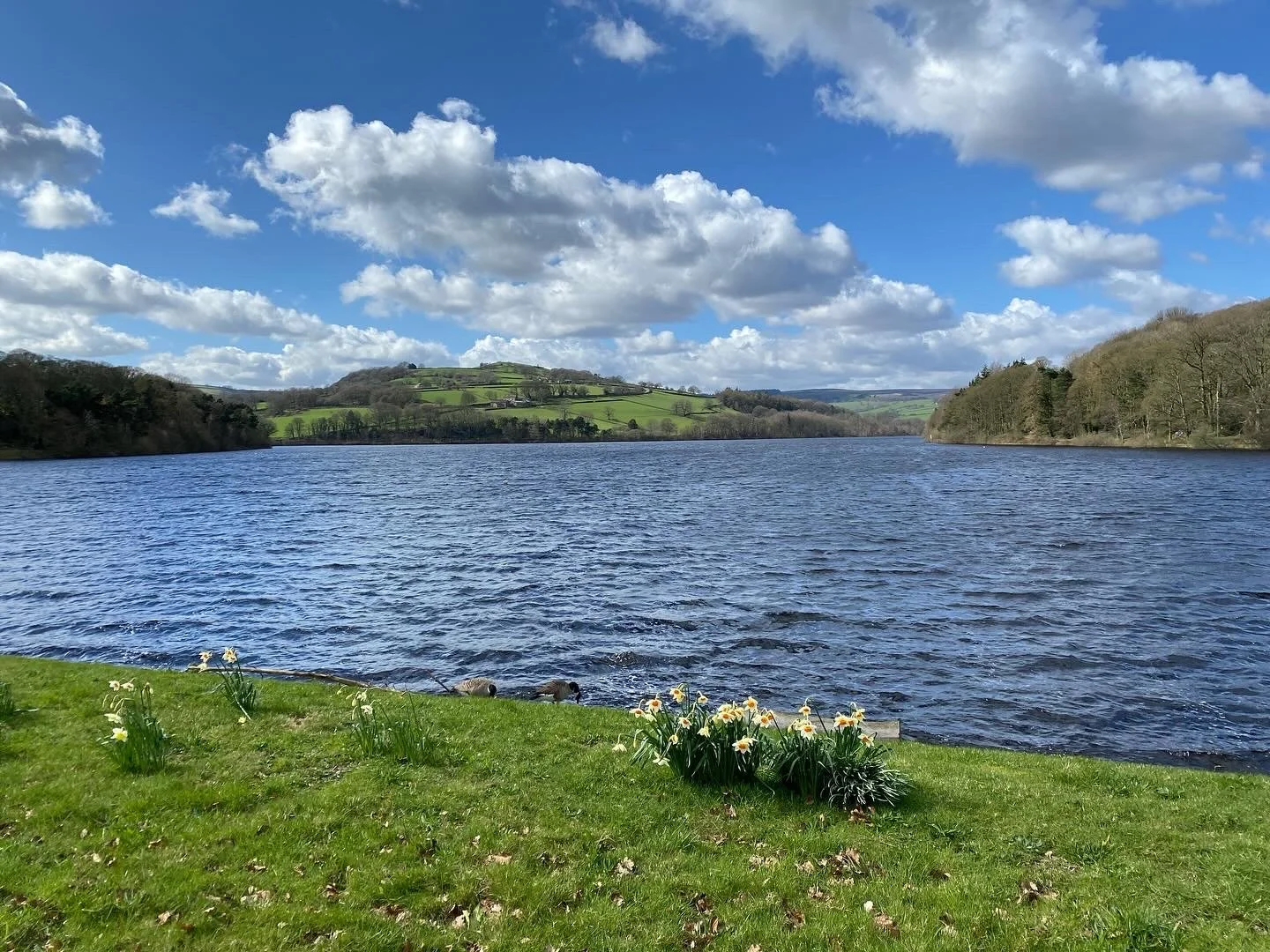 A Flask, an Ice Cream and a Plough