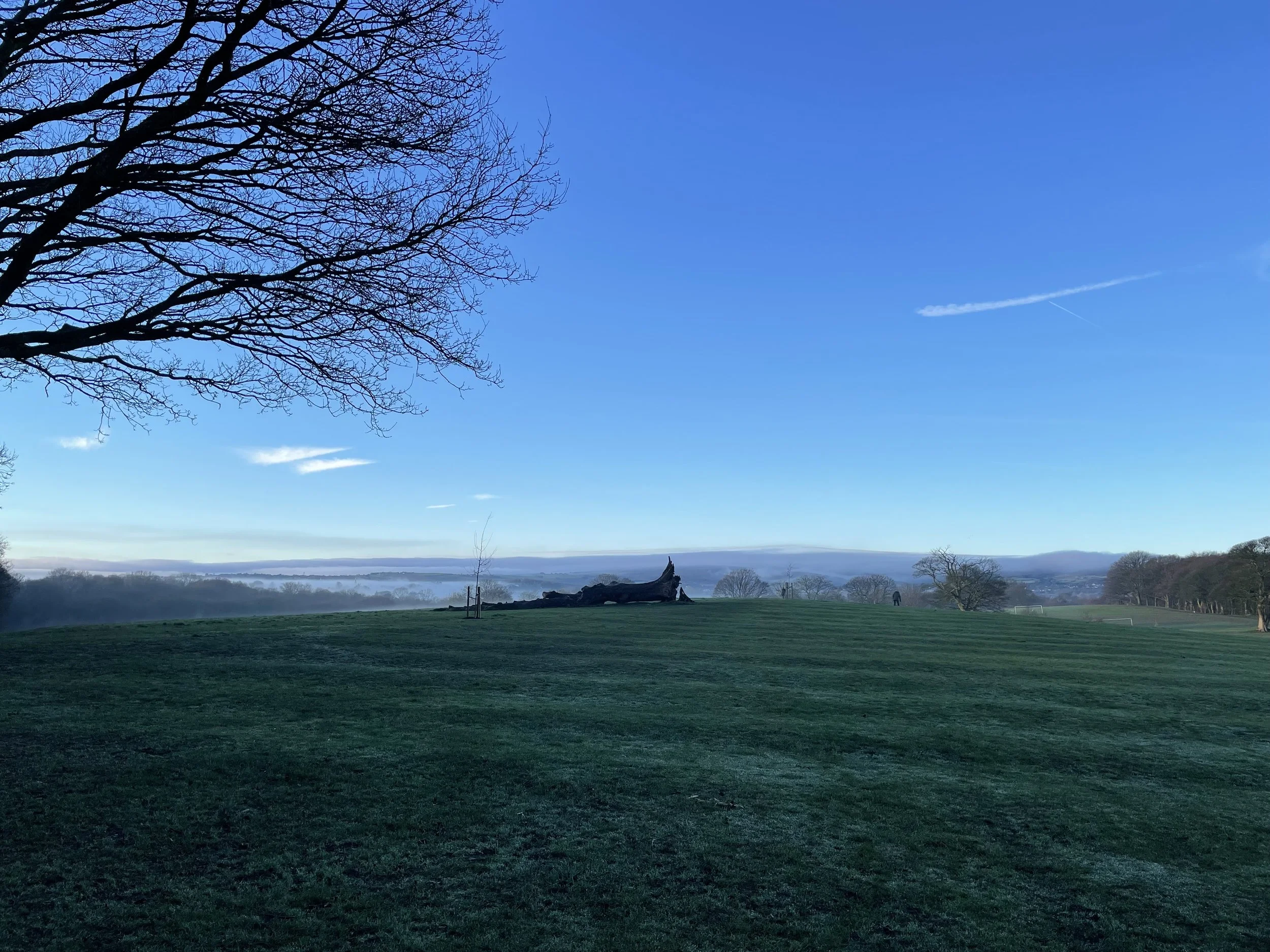 Graves Park for an RSPB Early Bird walk