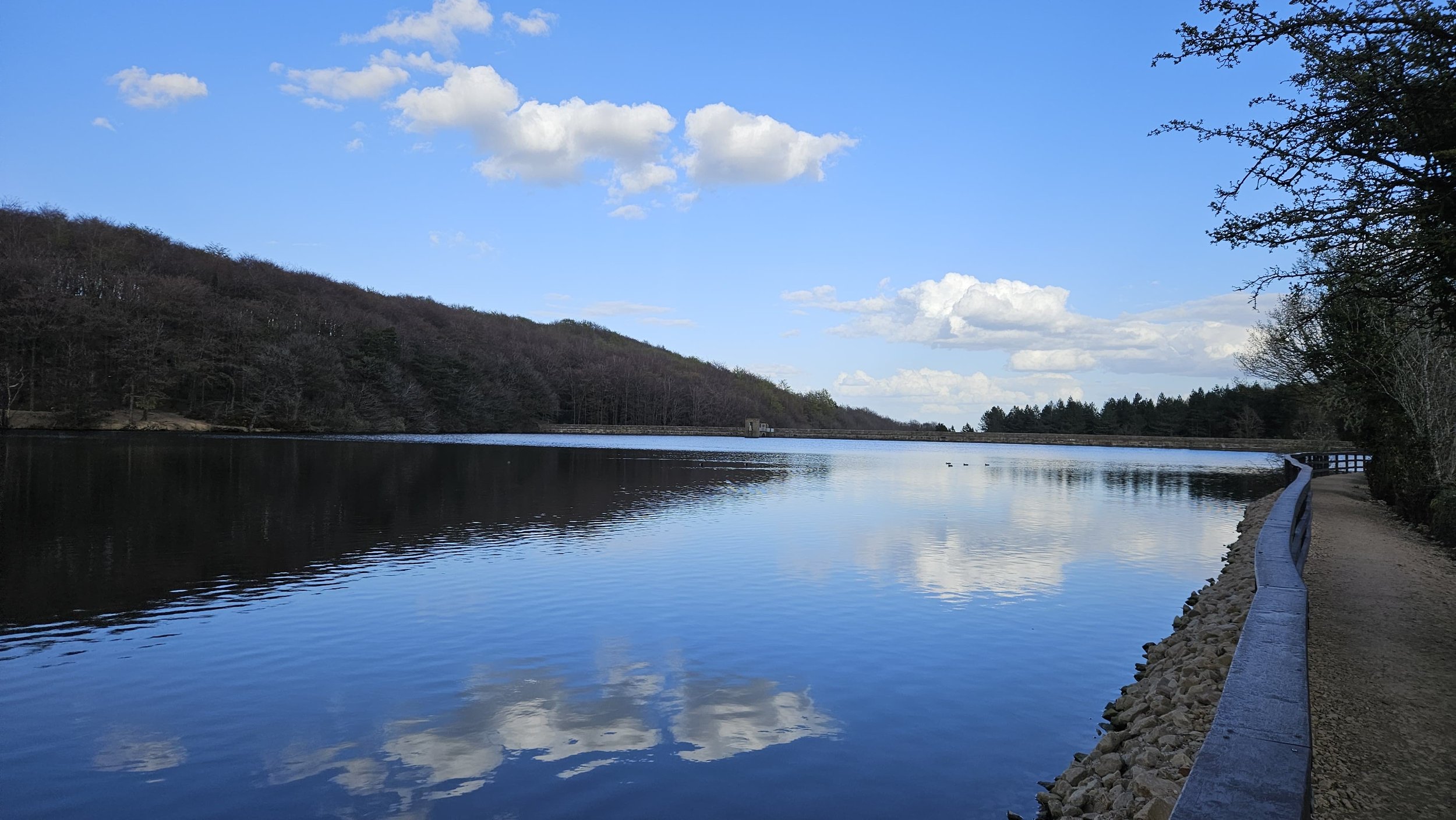 Leisurely Linacre