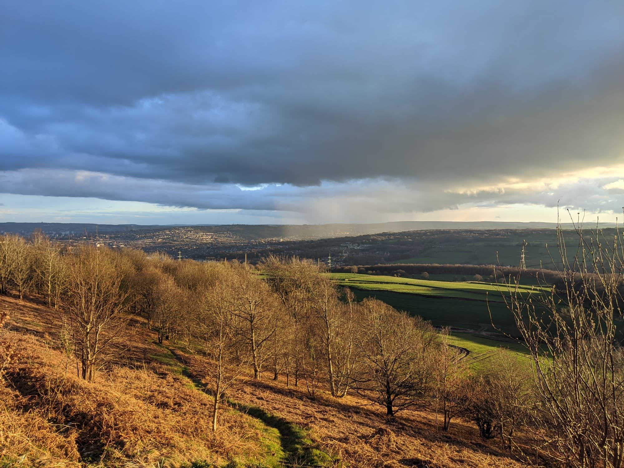Hillsborough - Wharncliffe Wood Circular