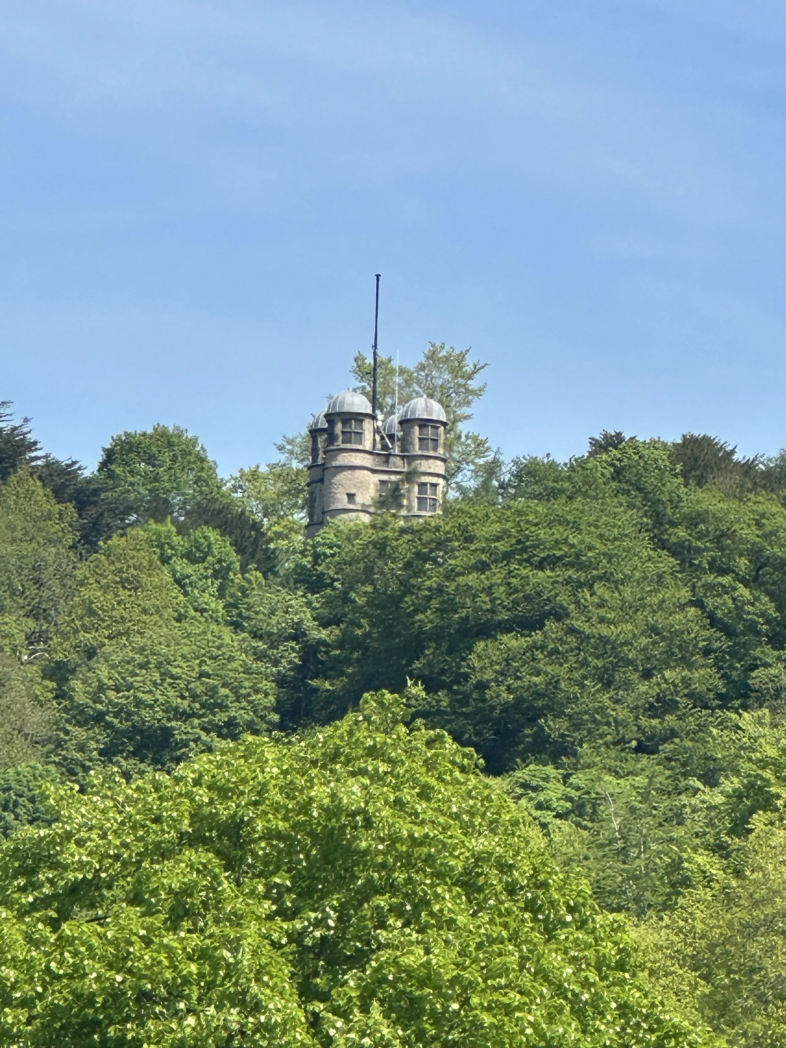 Chatsworth Park Figure of 8