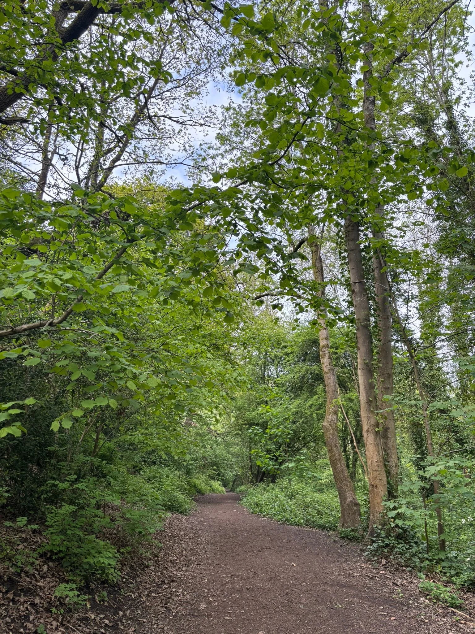 Rivelin Valley – Evening
