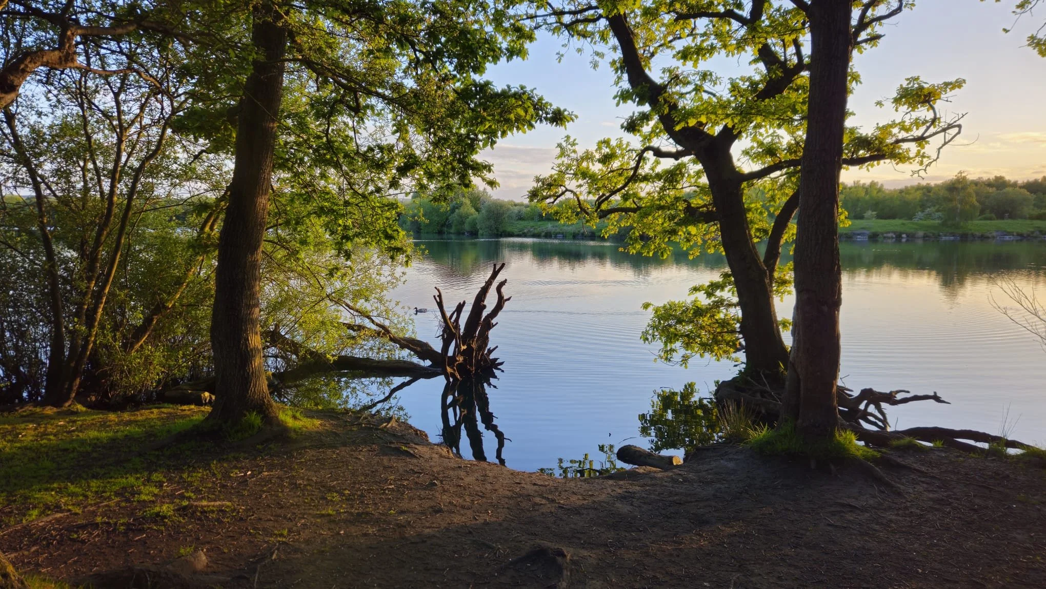 Treeton Loop – Evening